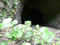 f:id:fj_saf1:20060512094356j:image:small