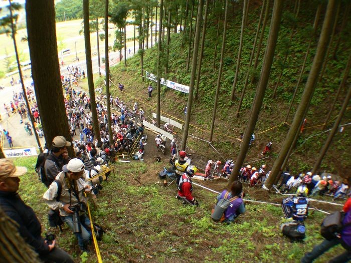 森林セクション(上から)