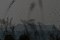 f:id:fj_saf1:20061020020924j:image:small