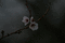 f:id:fj_saf1:20061021011018j:image:small