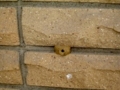 f:id:fjosh524:20120123182130j:image:medium