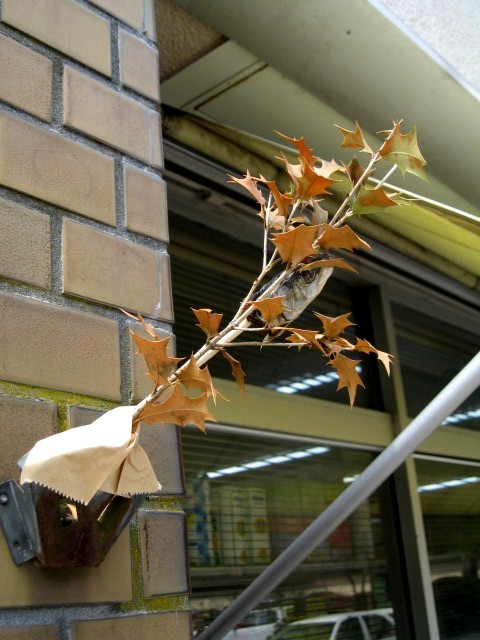 f:id:fjosh524:20120124211632j:image:w360
