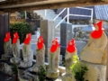 f:id:fjosh524:20120211151922j:image:medium