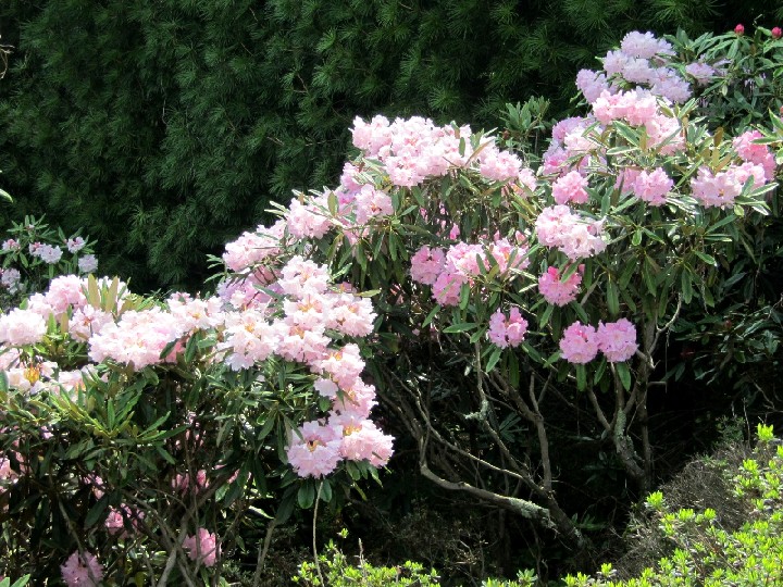 f:id:fjosh524:20120508121258j:image:w360