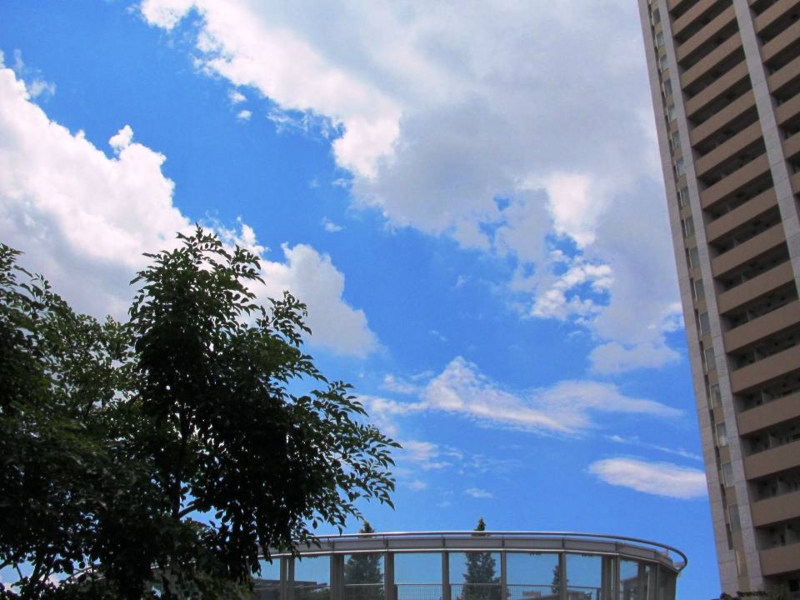 20120807115449