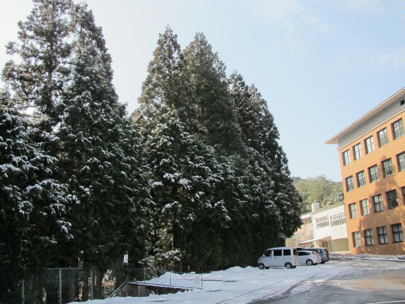 20130214113746