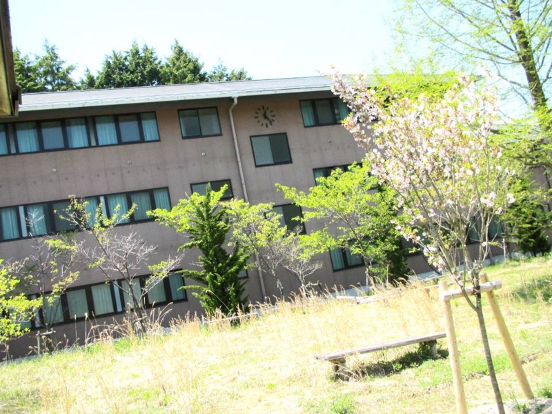 f:id:fjosh524:20130508122929j:image:w360