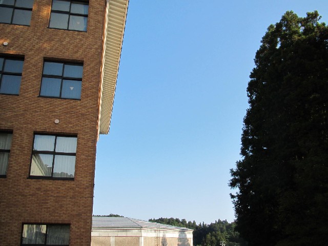 f:id:fjosh524:20131015081740j:image:w360