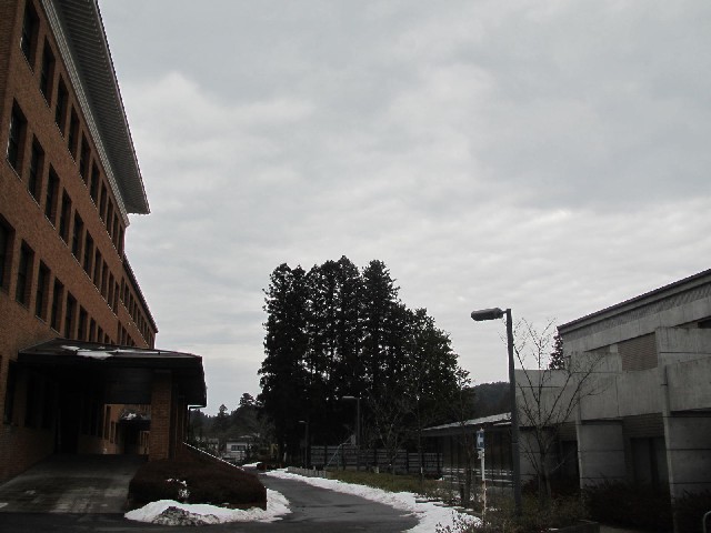 f:id:fjosh524:20140301090028j:image:w360 f:id:fjosh524:20140301090028j:image:w360