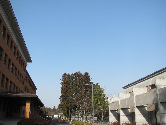 f:id:fjosh524:20140319094904j:image:w360 f:id:fjosh524:20140319094904j:image:w360