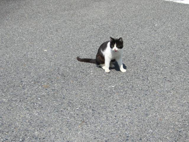 f:id:fjosh524:20140324115938j:image:w360 f:id:fjosh524:20140324115938j:image:w360