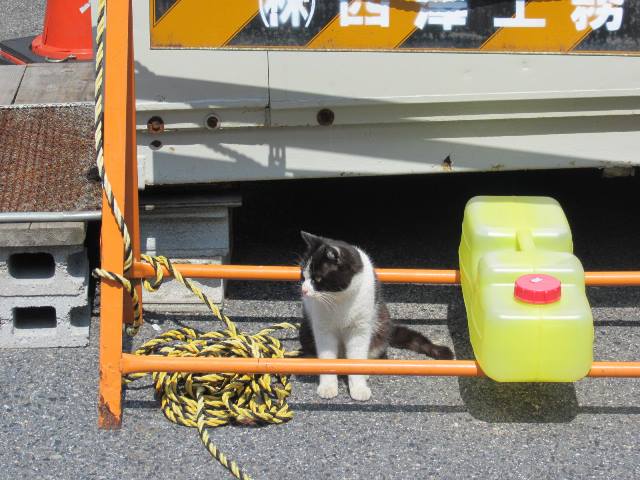 f:id:fjosh524:20140324130230j:image:w360 f:id:fjosh524:20140324130230j:image:w360