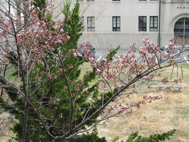 20140416120945