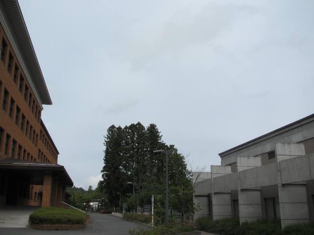 f:id:fjosh524:20140610083344j:image:w360