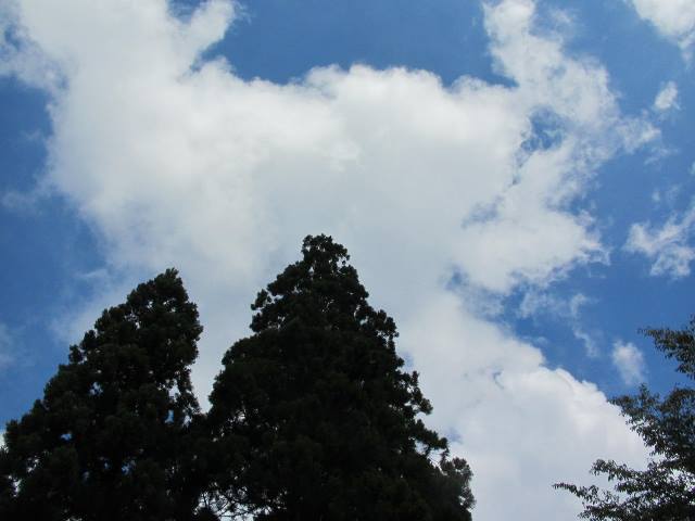f:id:fjosh524:20140826131334j:image:w360
