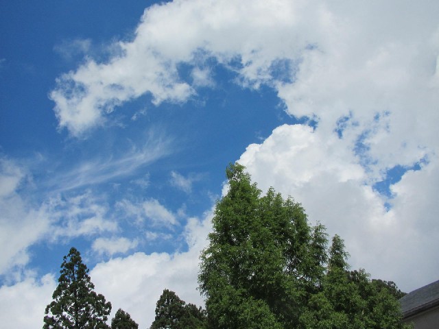 f:id:fjosh524:20140827130945j:image:w360