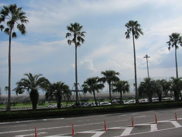 f:id:fjosh524:20140909153312j:image:w270