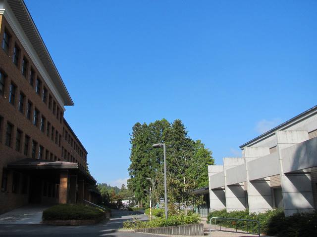 f:id:fjosh524:20140929083338j:image:w360