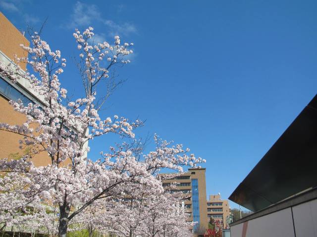 f:id:fjosh524:20150402084651j:image:w360 f:id:fjosh524:20150402084651j:image:w360