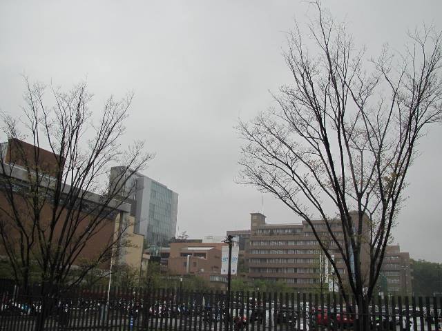 f:id:fjosh524:20150420123955j:image:w360 f:id:fjosh524:20150420123955j:image:w360