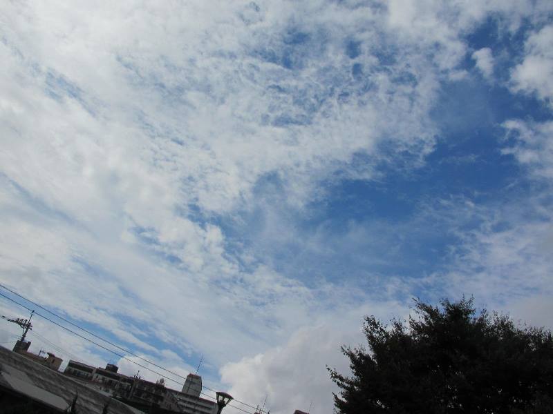 f:id:fjosh524:20150819154532j:image:w240