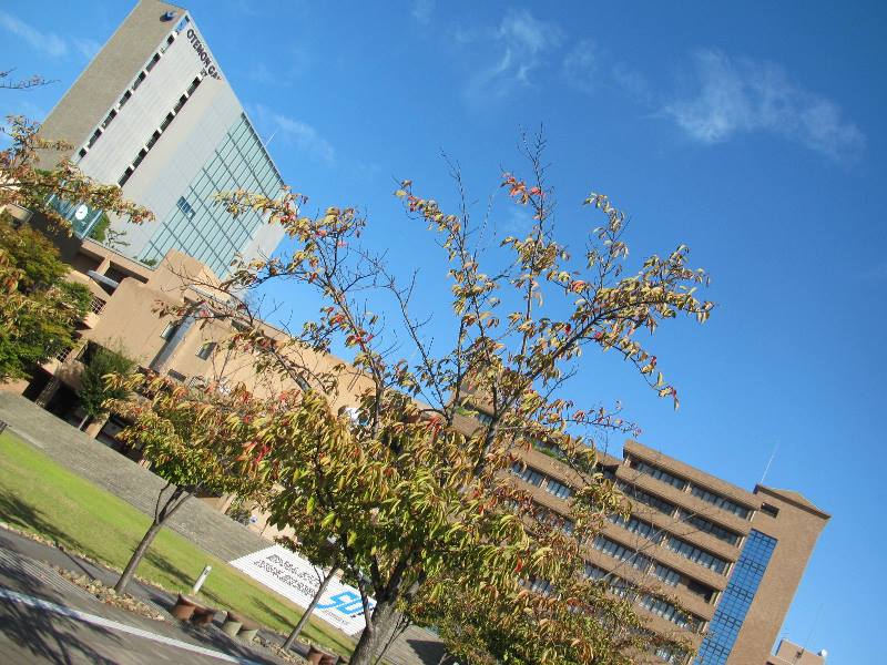 f:id:fjosh524:20150928080116j:image:w360 f:id:fjosh524:20150928080116j:image:w360