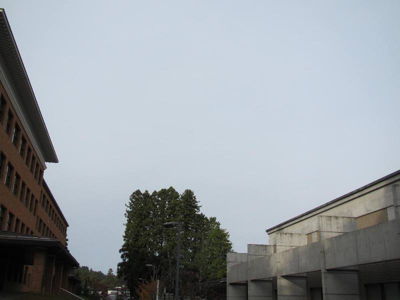 f:id:fjosh524:20151113080107j:image:w360