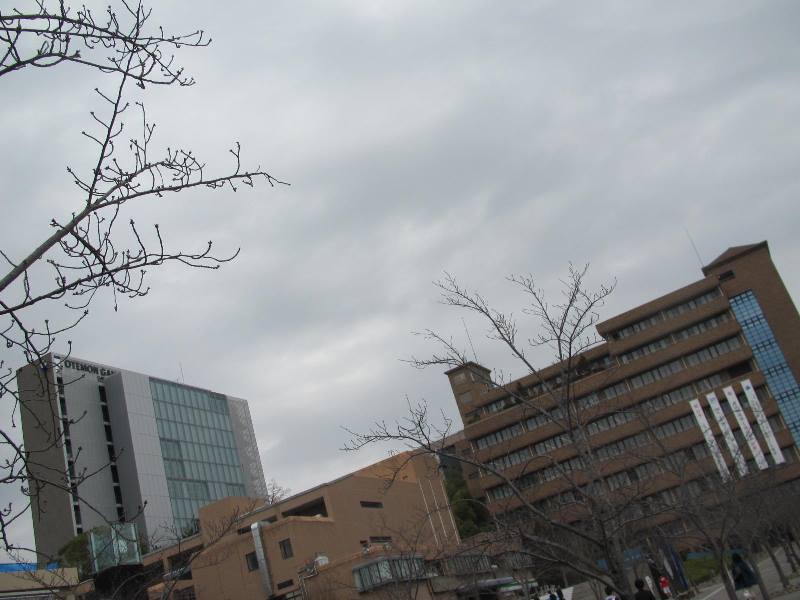 f:id:fjosh524:20160307104501j:image:w360 f:id:fjosh524:20160307104501j:image:w360