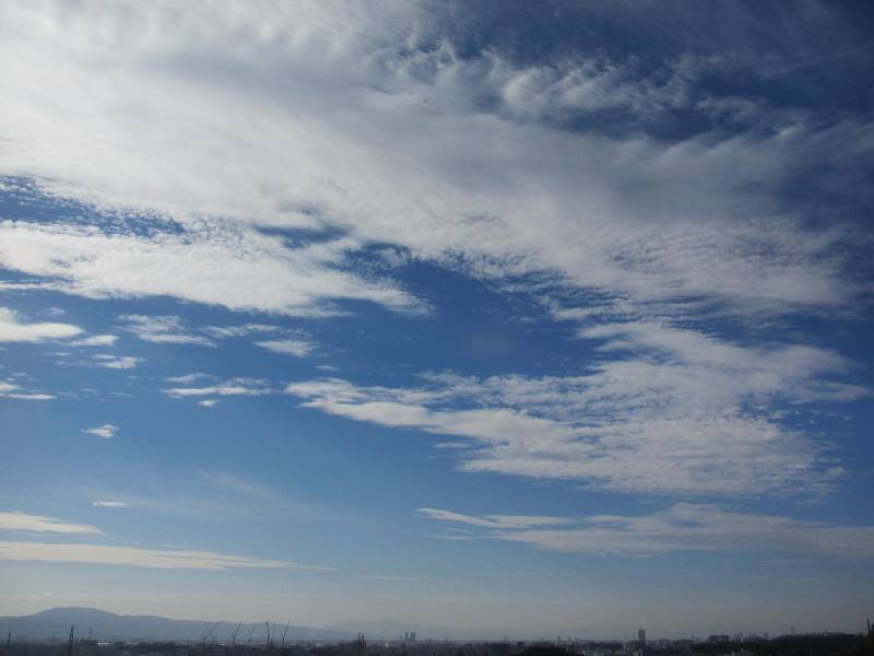 f:id:fjosh524:20161011082248j:image:w360 f:id:fjosh524:20161011082248j:image:w360