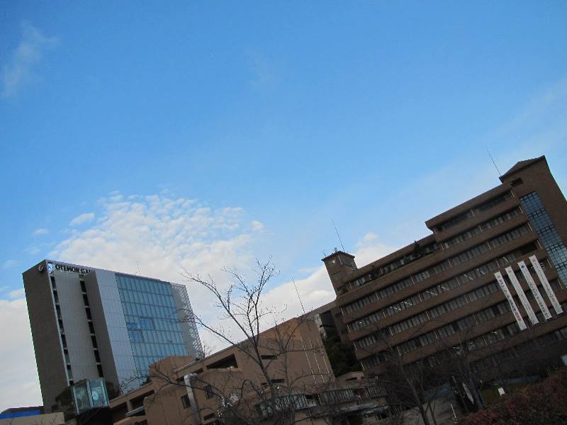 f:id:fjosh524:20161214082223j:image:w360 f:id:fjosh524:20161214082223j:image:w360