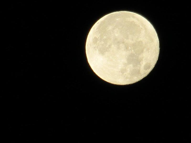 f:id:fjosh524:20161215062045j:image:w360 f:id:fjosh524:20161215062045j:image:w360