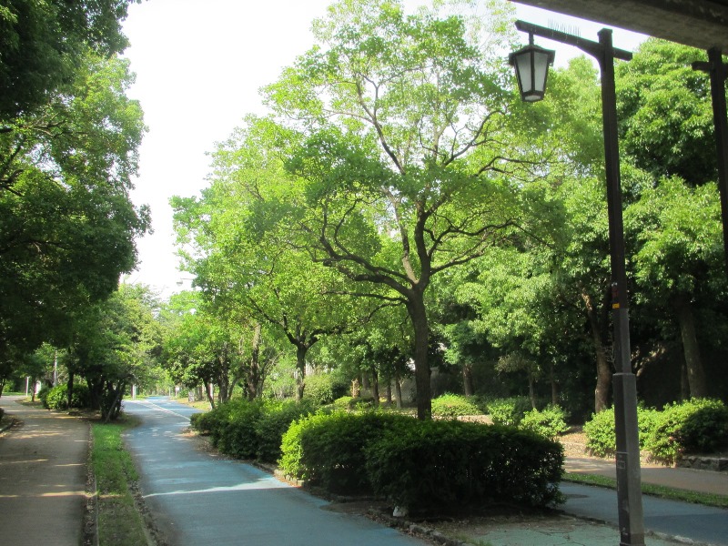 f:id:fjosh524:20170715142324j:image:w360