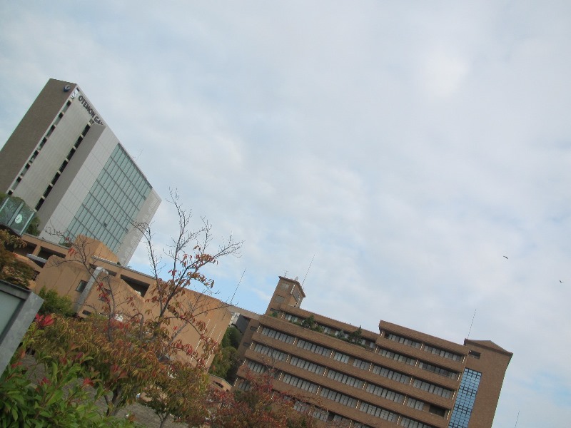 f:id:fjosh524:20171009073217j:image:w360