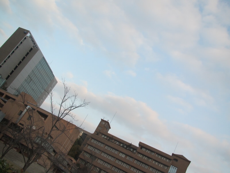 f:id:fjosh524:20180119073222j:image:w360