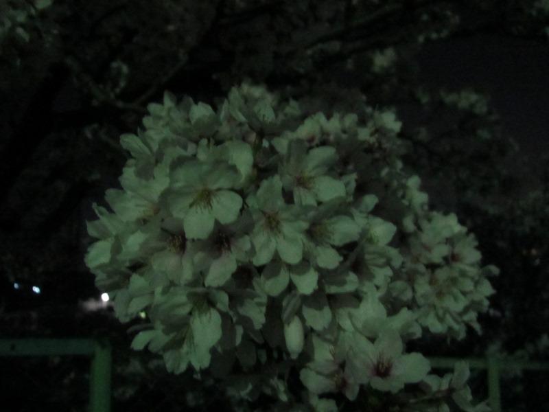 f:id:fjosh524:20180331210413j:image:w360 f:id:fjosh524:20180331210413j:image:w360