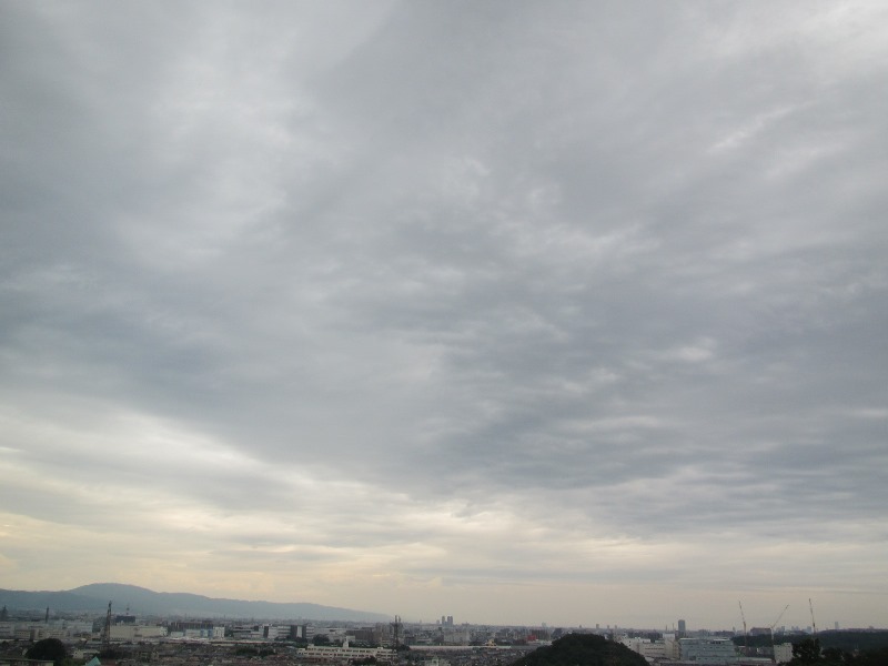 f:id:fjosh524:20180712172319j:image:w360