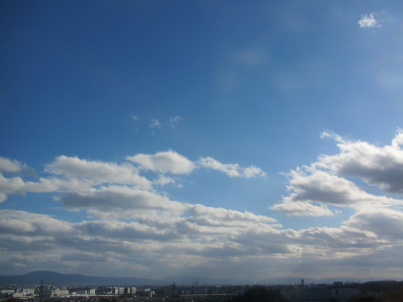 f:id:fjosh524:20181224135732j:image:w360