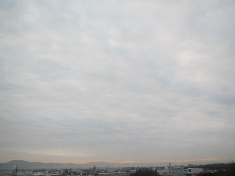 f:id:fjosh524:20190110073141j:plain