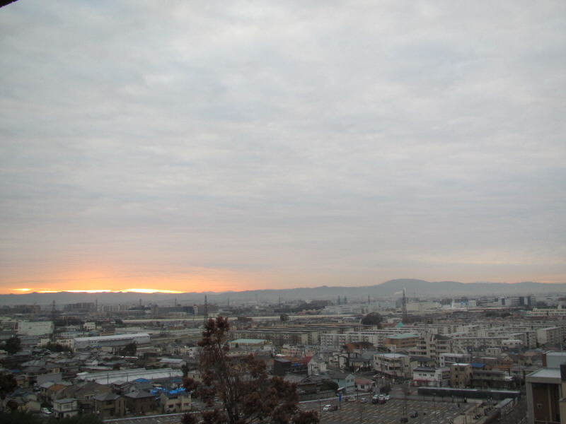 f:id:fjosh524:20190110073157j:plain