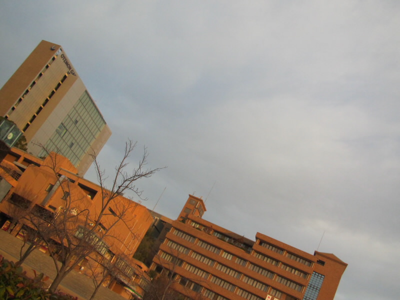 f:id:fjosh524:20190117072746j:plain