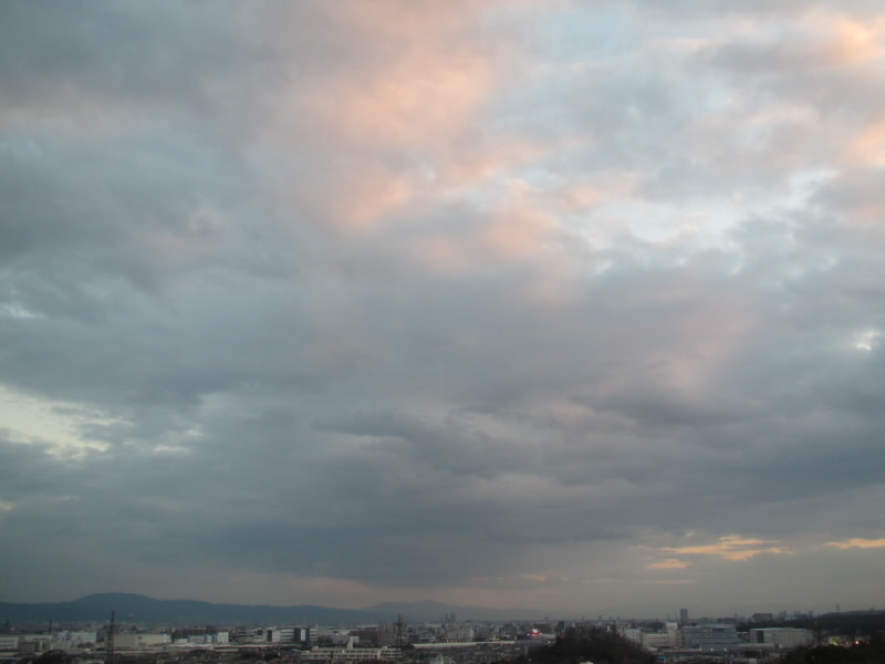 f:id:fjosh524:20190117165711j:plain