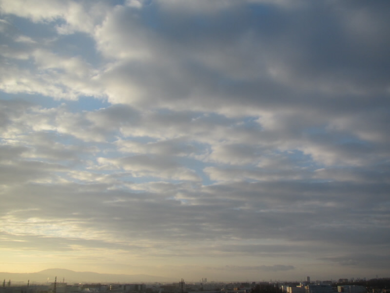 f:id:fjosh524:20190118073415j:plain