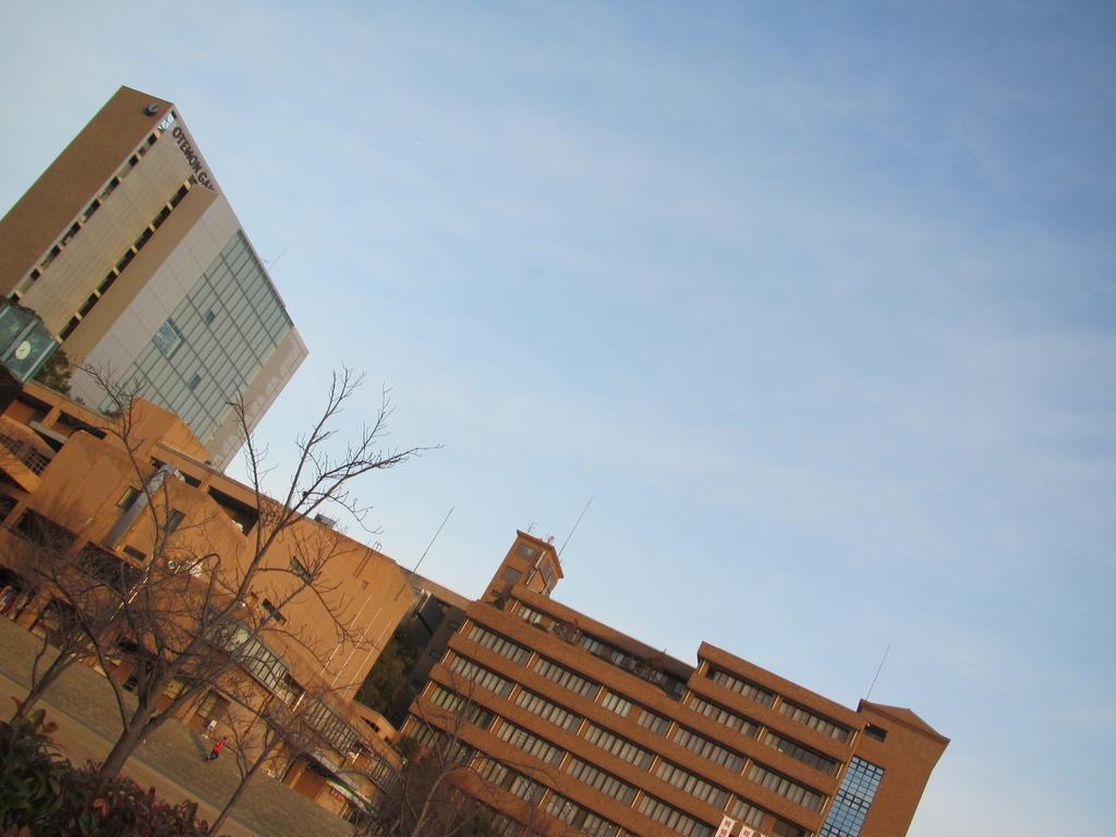 f:id:fjosh524:20190130072142j:plain f:id:fjosh524:20190130072142j:plain