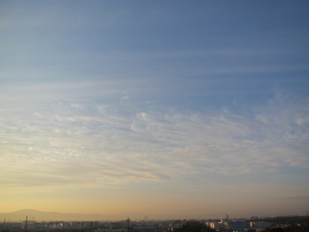 f:id:fjosh524:20190130072539j:plain f:id:fjosh524:20190130072539j:plain