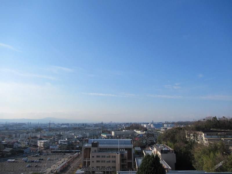 f:id:fjosh524:20190401072127j:plain