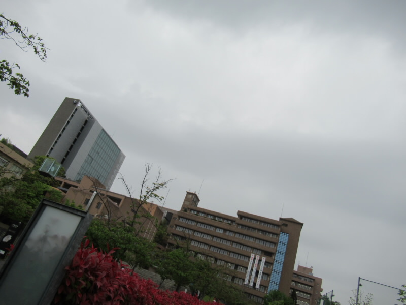 f:id:fjosh524:20190424073838j:plain