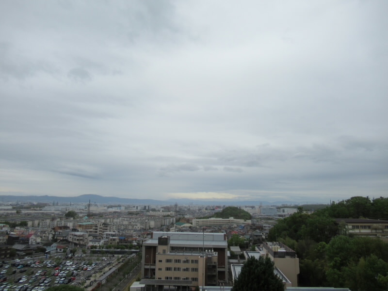 f:id:fjosh524:20190424155415j:plain