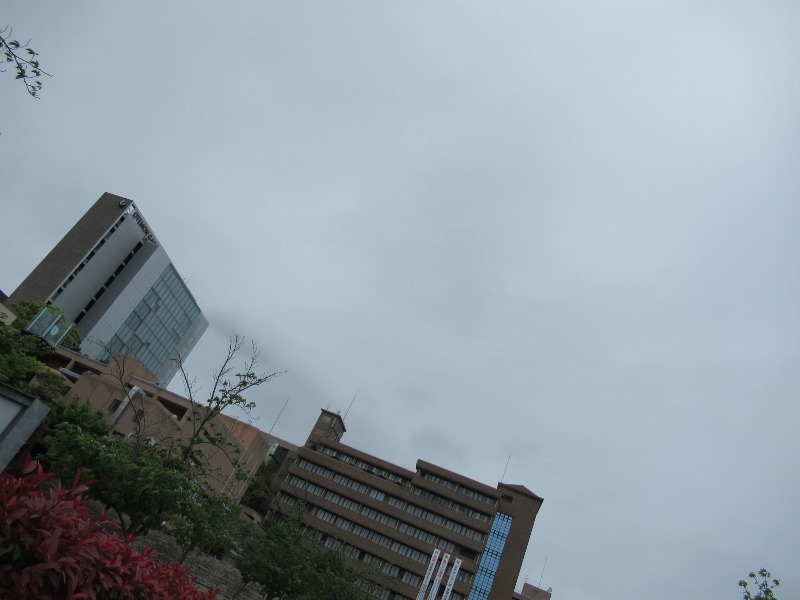 f:id:fjosh524:20190430114508j:plain f:id:fjosh524:20190430114508j:plain