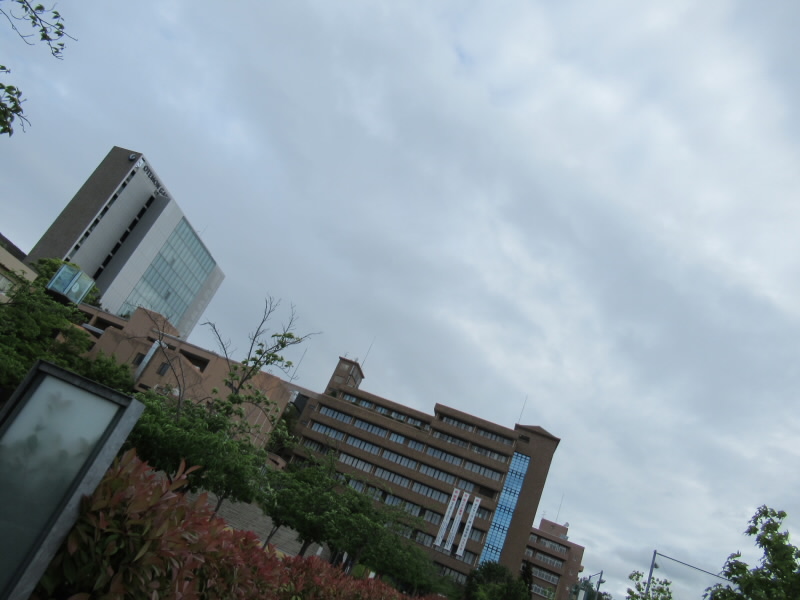 f:id:fjosh524:20190520070047j:plain f:id:fjosh524:20190520070047j:plain