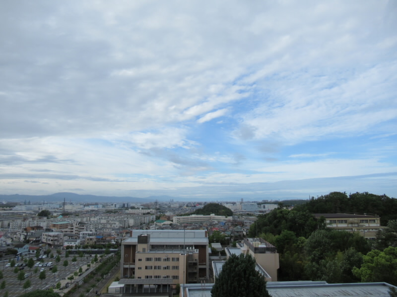 f:id:fjosh524:20190520070606j:plain f:id:fjosh524:20190520070606j:plain